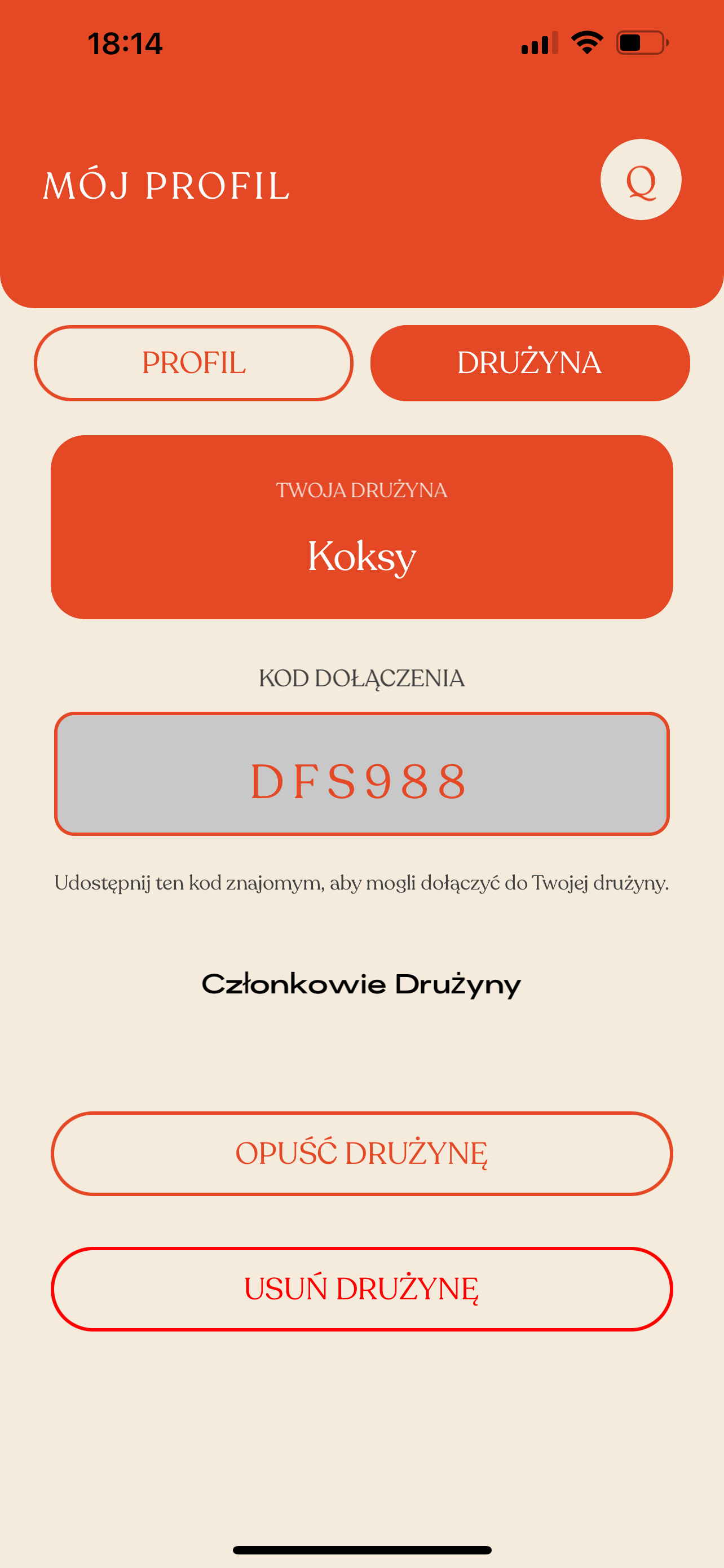 Ekran drużyny